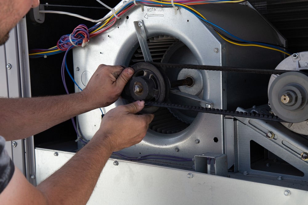 Fan Motor